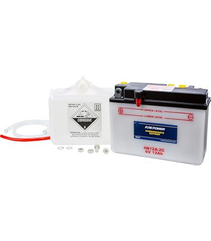 Amazon.com: WPS Conventional 6V Standard Battery with Acid Pack